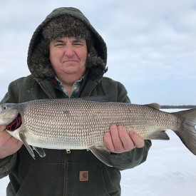 Ice Fishing Whitefish