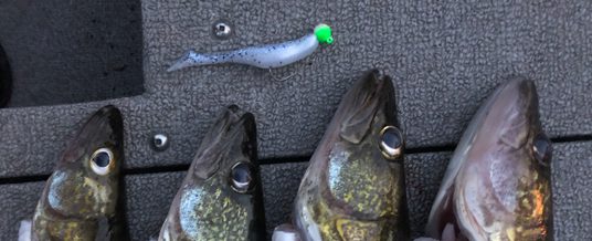 August Fishing Continues to be Solid in the Brainerd Lakes Area