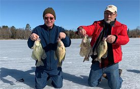 The Panfish are Going Ballistic in the Brainerd Lakes Area