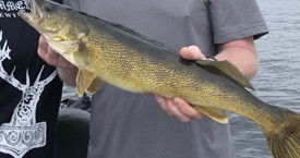 Fishing is Simply Incredible in the Brainerd Lakes Area