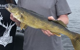 Fishing is Simply Incredible in the Brainerd Lakes Area